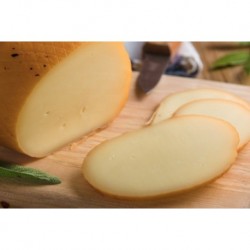 PROVOLONE AFFUMICATO 100 Gr