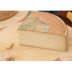 FONTINA 100 GR