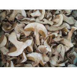 FUNGHI PORCINI SECCHI 500 GR